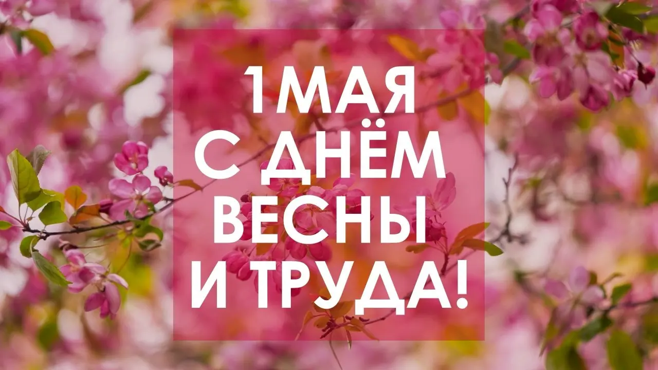 Дорогие москвичи, поздравляю вас с Днём Весны и Труда!
🍀 Первомай — праздник с историей и традициями, которые живут и сегодня | Сетка — социальная сеть от hh.ru