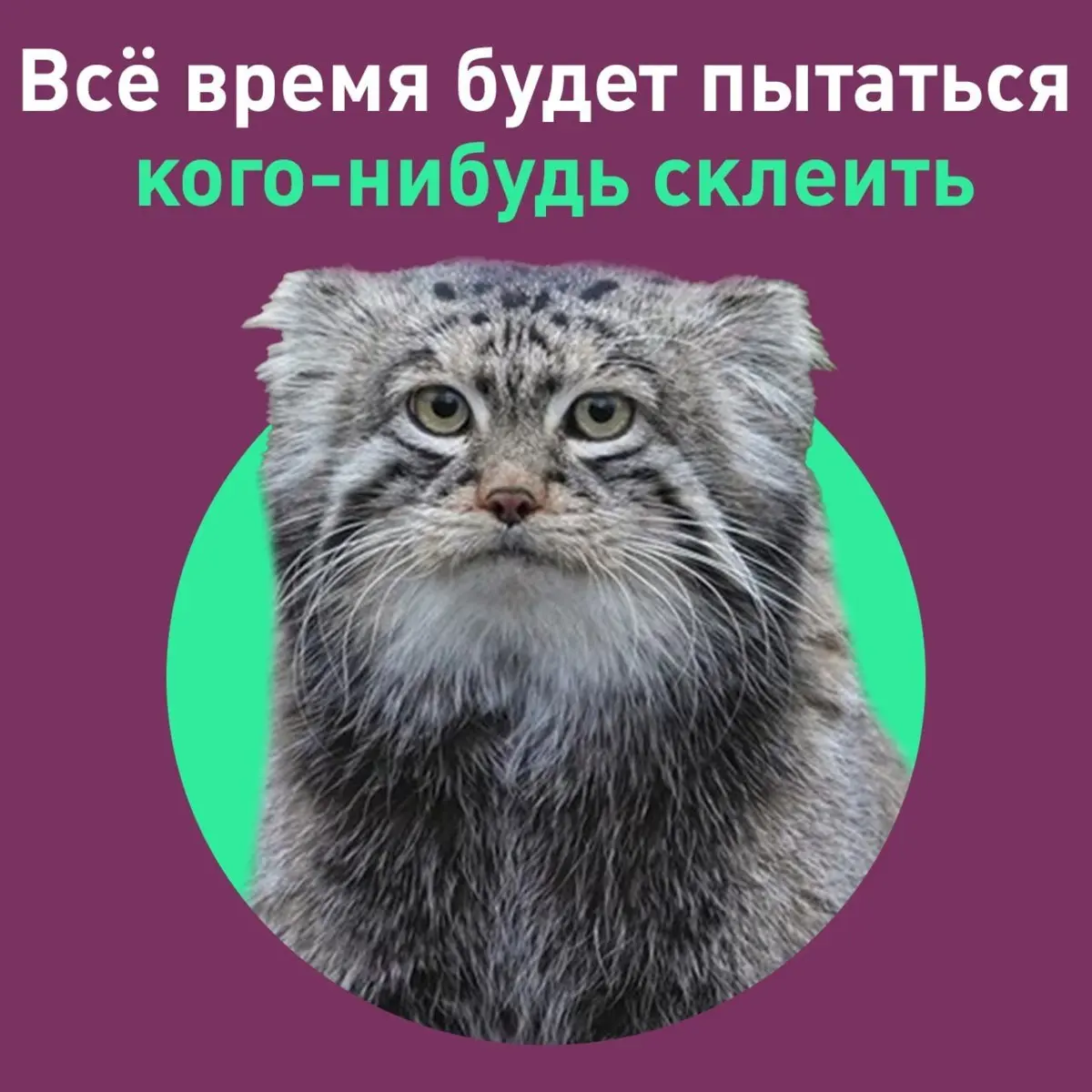 С днём шашлыка Первомаем, дорогие подписчики!
А что ещё случилось?
В этом посте были ссылки, но мы их удалили по правилам Сетки | Сетка — социальная сеть от hh.ru