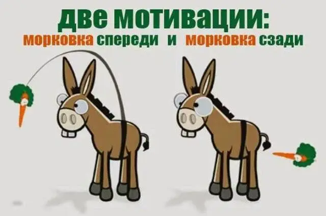 Знакомый многим мем про мотивацию - "морковка спереди" или "морковка сзади" | Сетка — социальная сеть от hh.ru