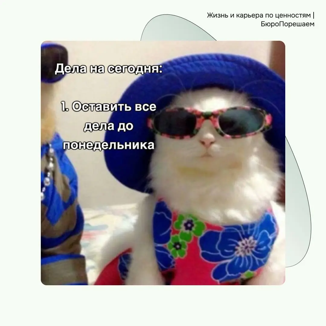 День недели: мемятница 😁 | Сетка — социальная сеть от hh.ru