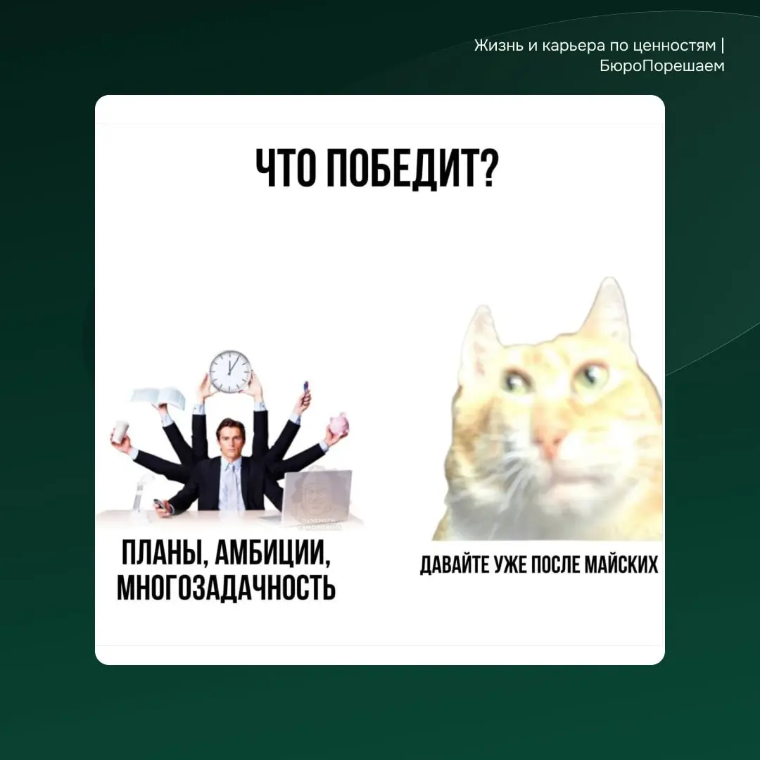 День недели: мемятница 😁 | Сетка — социальная сеть от hh.ru