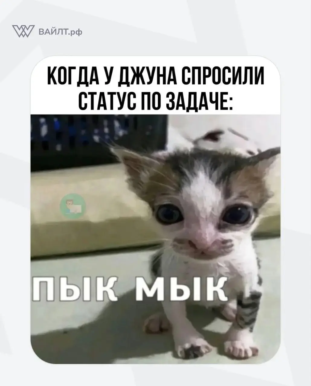 #Мем
@whiletru | Сетка — социальная сеть от hh.ru