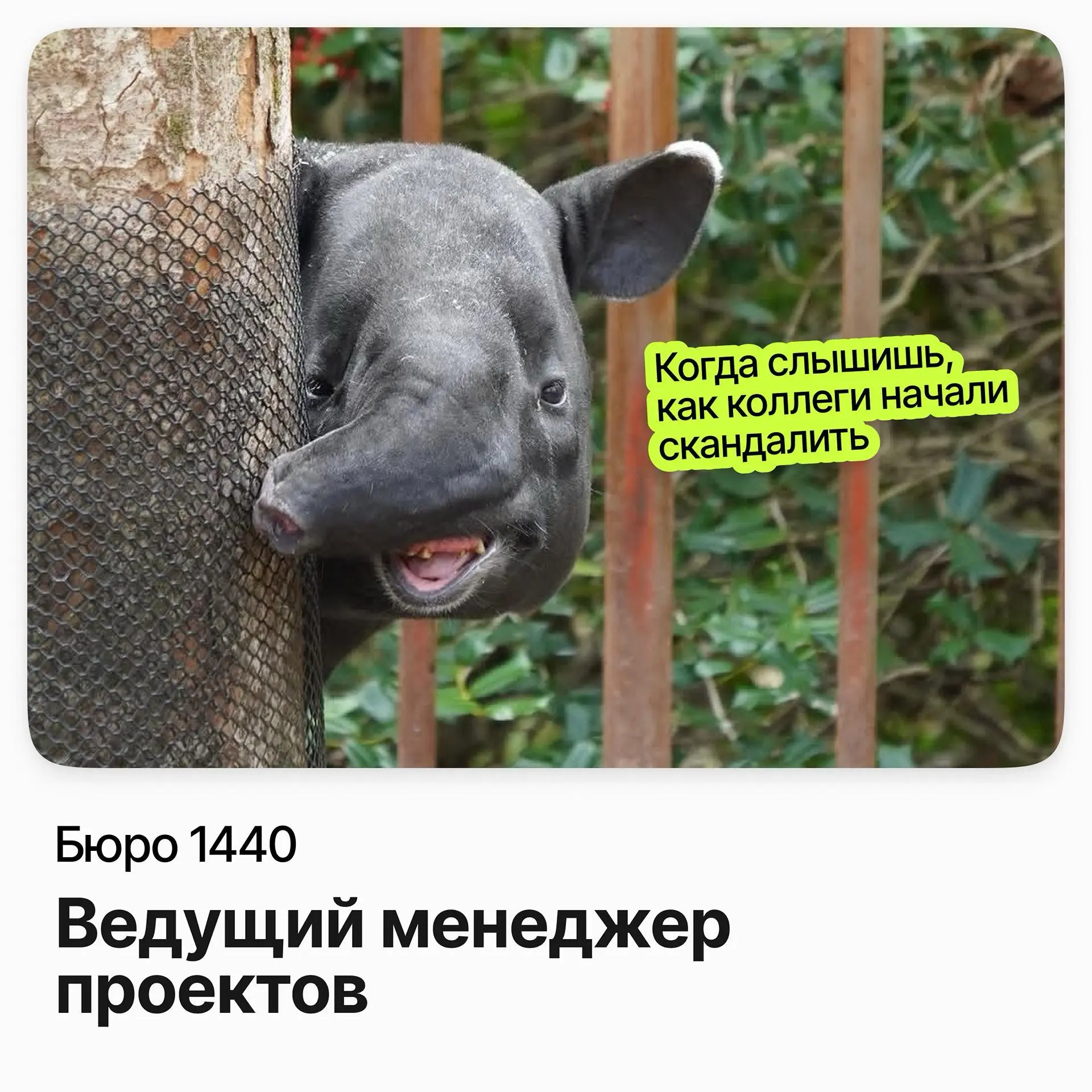 Ведущий менеджер проектов  / Бюро 1440 | Сетка — социальная сеть от hh.ru