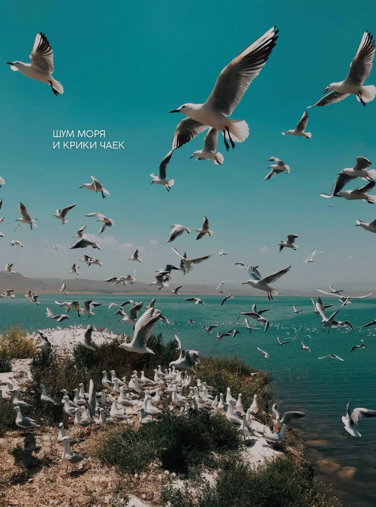 Luxors Travel — Discover Beautiful
Мы создаём путешествия, которые действительно хочется проживать 🇹🇷
Без суеты, без ощущения, что есть только один вариант
Вместо этого — маршруты с дыханием, с гибкос... | Сетка — социальная сеть от hh.ru