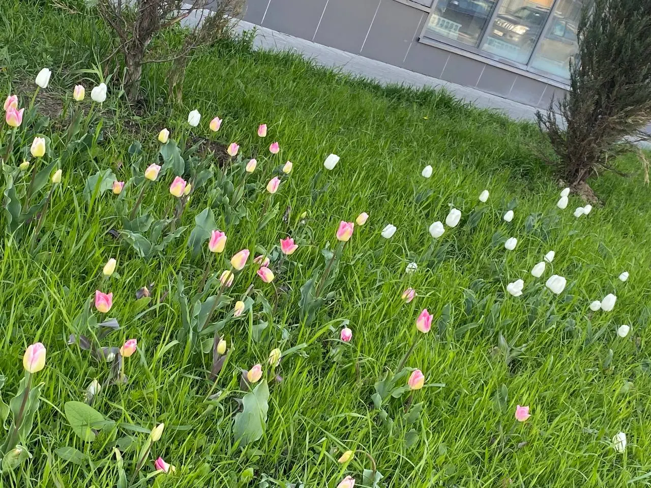1️⃣ Первое Мая 🌿
Это день, когда можно «я ничего не должна/не должен»
Сегодня ВЫХОДНОЙ
Для кого-то 1 мая шашлыки и дача, для кого-то праздничный выход, а для кого-то - просто лишний день в череде «над... | Сетка — социальная сеть от hh.ru