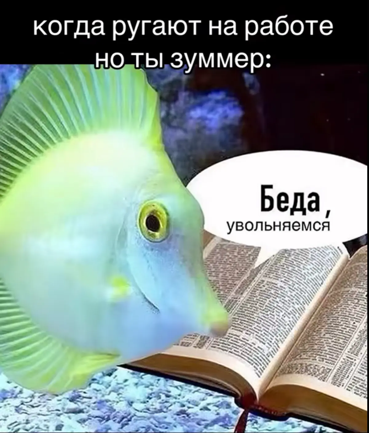 Как нанимать зумеров так, чтобы они не увольнялись. | Сетка — социальная сеть от hh.ru