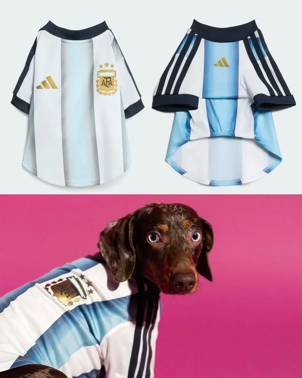 Adidas дропнул целую коллекцию джерси для питомцев. Она приурочена к World Cup 2026 и в ней есть шмот с флагами и атрибутикой Аргентины, Колумбии, Мексики, Японии и США | Сетка — социальная сеть от hh.ru