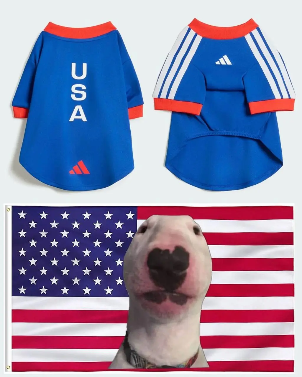Adidas дропнул целую коллекцию джерси для питомцев. Она приурочена к World Cup 2026 и в ней есть шмот с флагами и атрибутикой Аргентины, Колумбии, Мексики, Японии и США | Сетка — социальная сеть от hh.ru