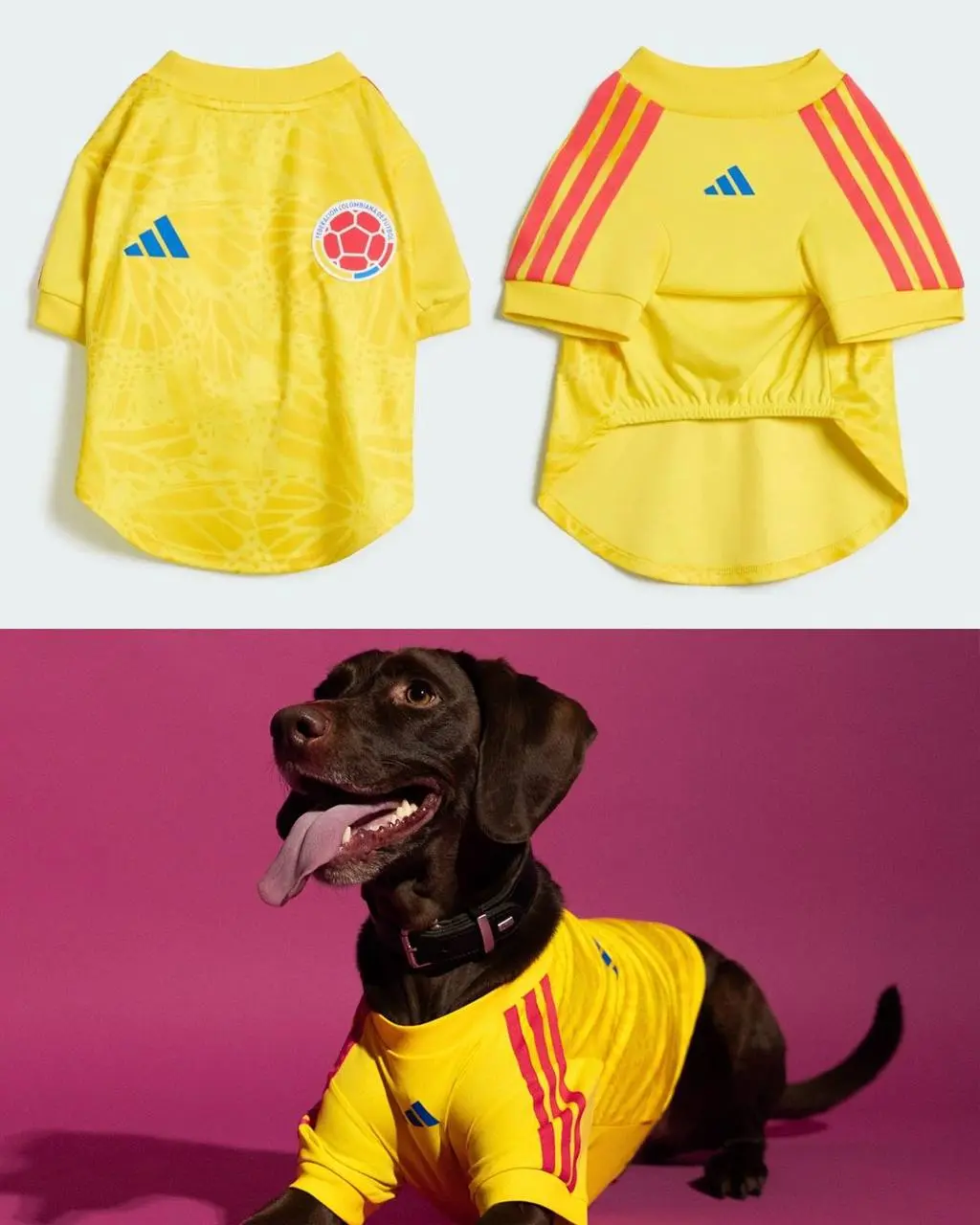 Adidas дропнул целую коллекцию джерси для питомцев. Она приурочена к World Cup 2026 и в ней есть шмот с флагами и атрибутикой Аргентины, Колумбии, Мексики, Японии и США | Сетка — социальная сеть от hh.ru