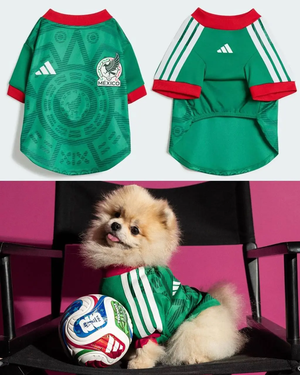 Adidas дропнул целую коллекцию джерси для питомцев. Она приурочена к World Cup 2026 и в ней есть шмот с флагами и атрибутикой Аргентины, Колумбии, Мексики, Японии и США | Сетка — социальная сеть от hh.ru
