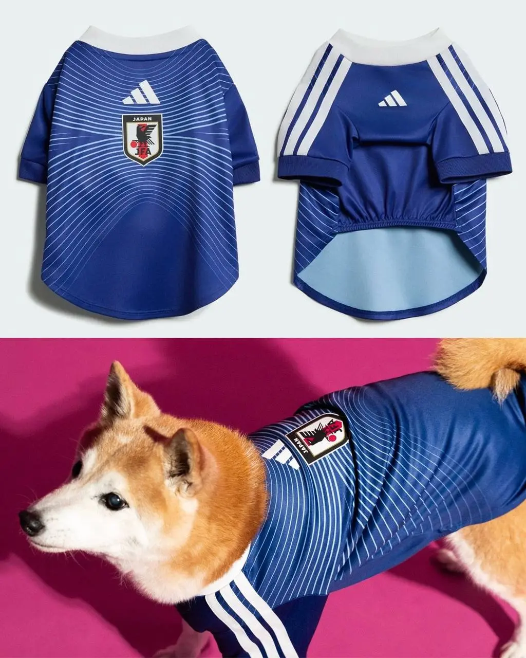 Adidas дропнул целую коллекцию джерси для питомцев. Она приурочена к World Cup 2026 и в ней есть шмот с флагами и атрибутикой Аргентины, Колумбии, Мексики, Японии и США | Сетка — социальная сеть от hh.ru