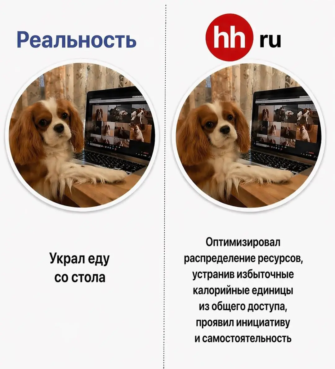 #мнетутскинули
Минут 20 угадал над этой темой😂 | Сетка — социальная сеть от hh.ru