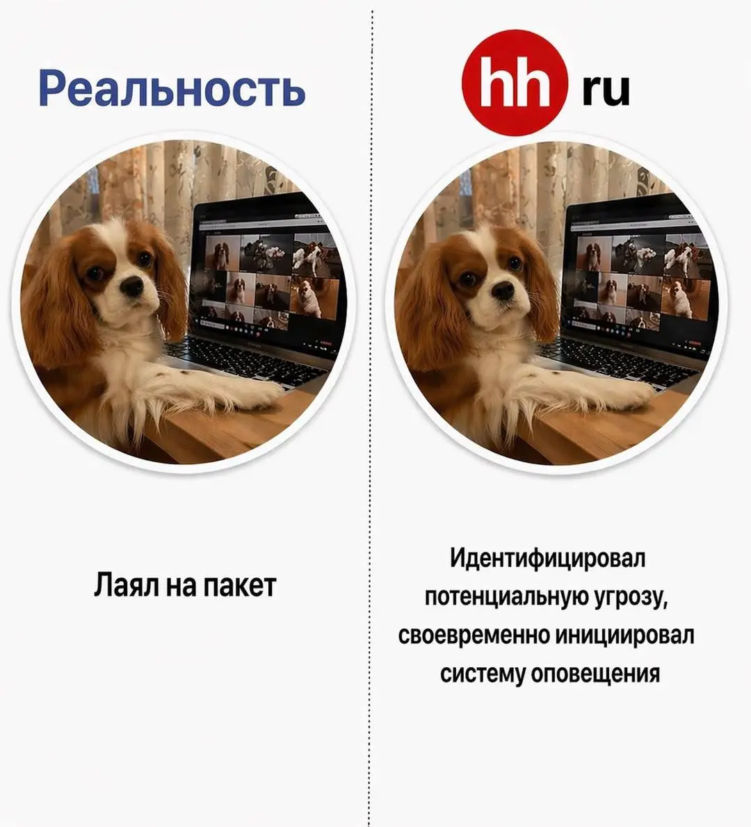 #мнетутскинули
Минут 20 угадал над этой темой😂 | Сетка — социальная сеть от hh.ru