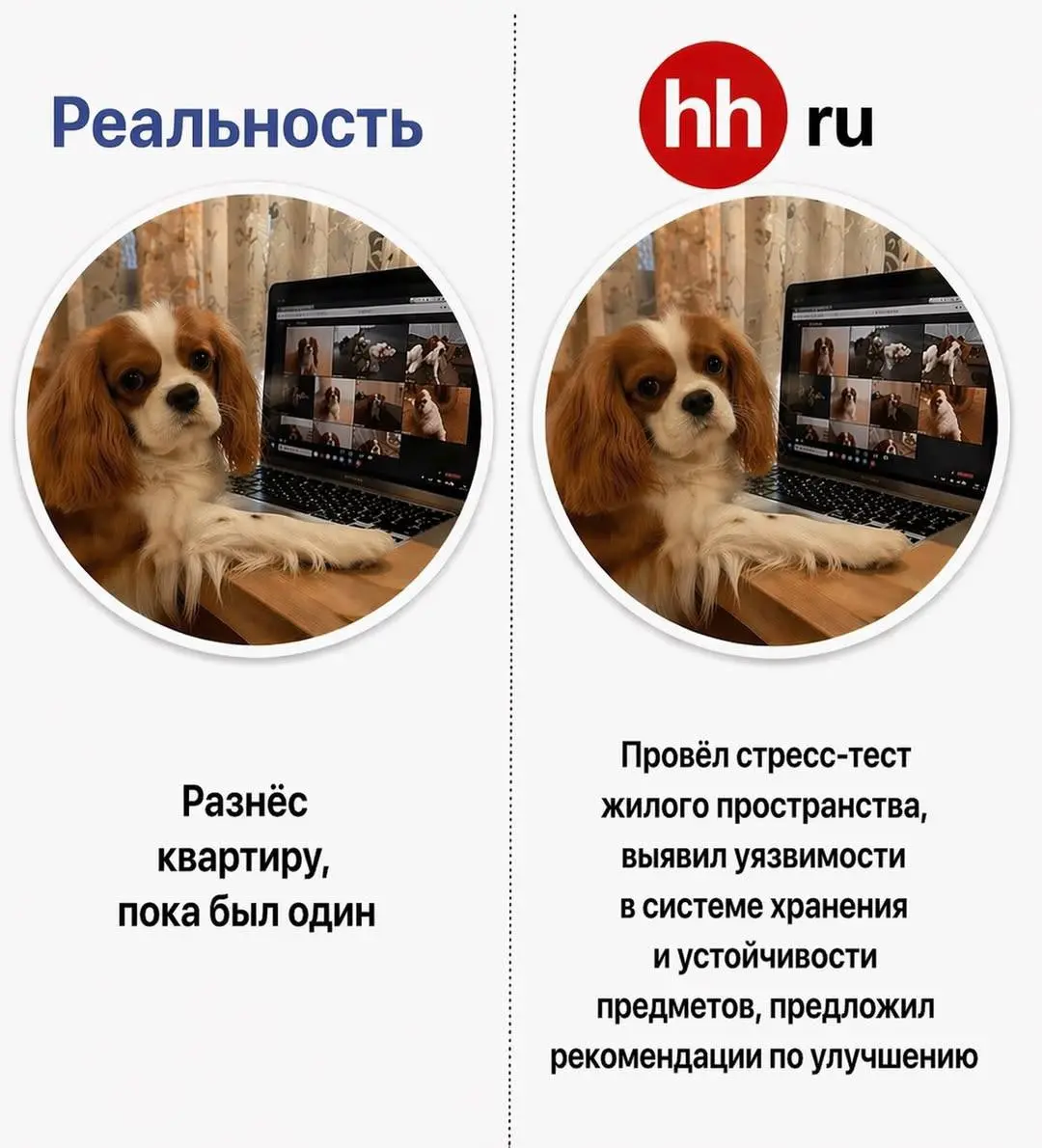 #мнетутскинули
Минут 20 угадал над этой темой😂 | Сетка — социальная сеть от hh.ru