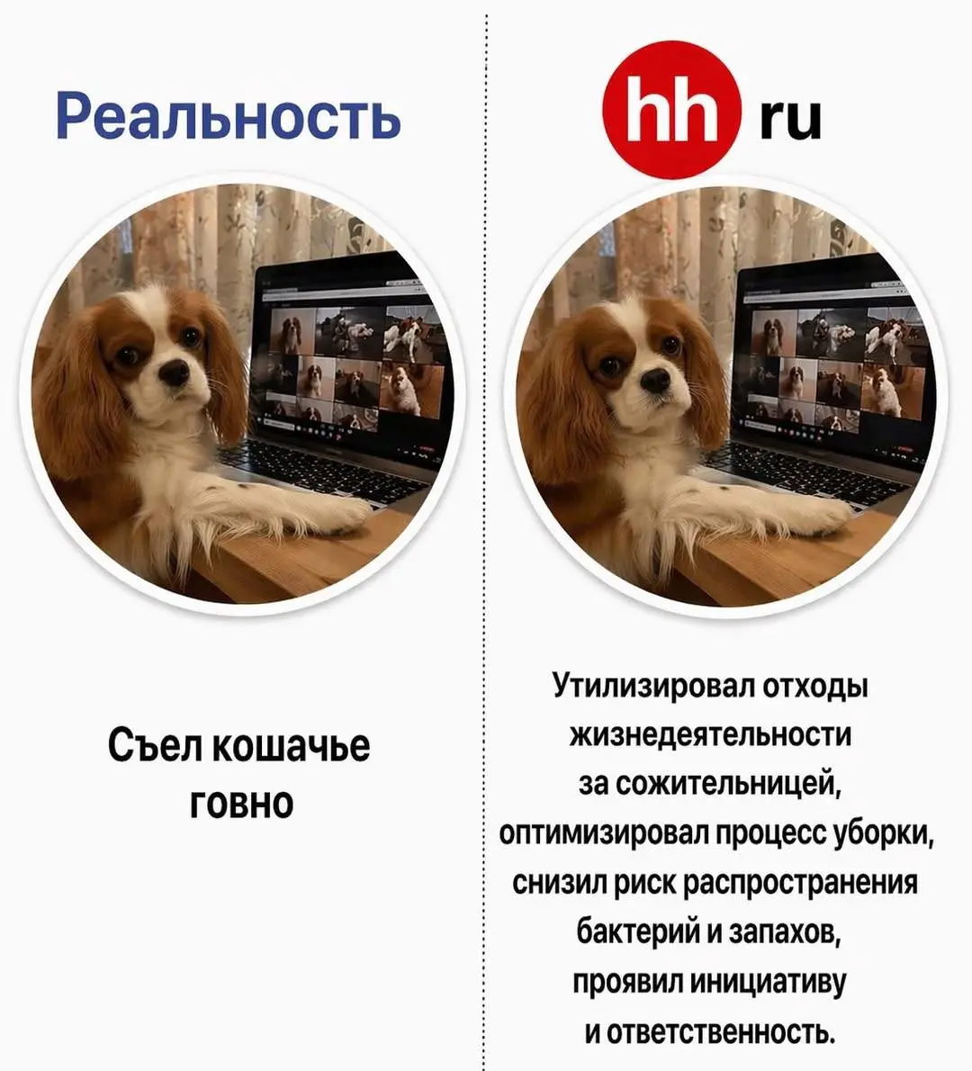 #мнетутскинули
Минут 20 угадал над этой темой😂 | Сетка — социальная сеть от hh.ru