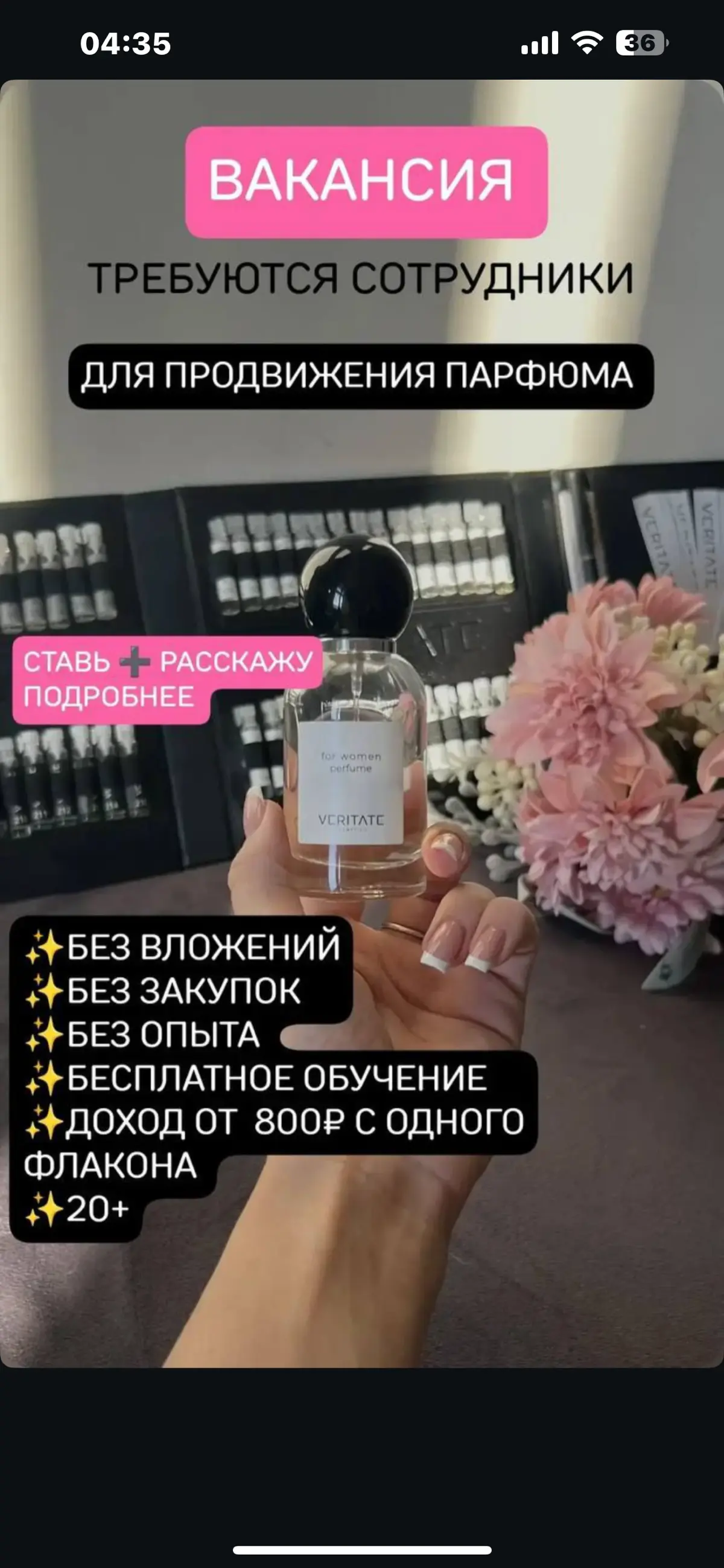 Ставь + в комментариях и я все подробно вам расскажу.✅ | Сетка — социальная сеть от hh.ru