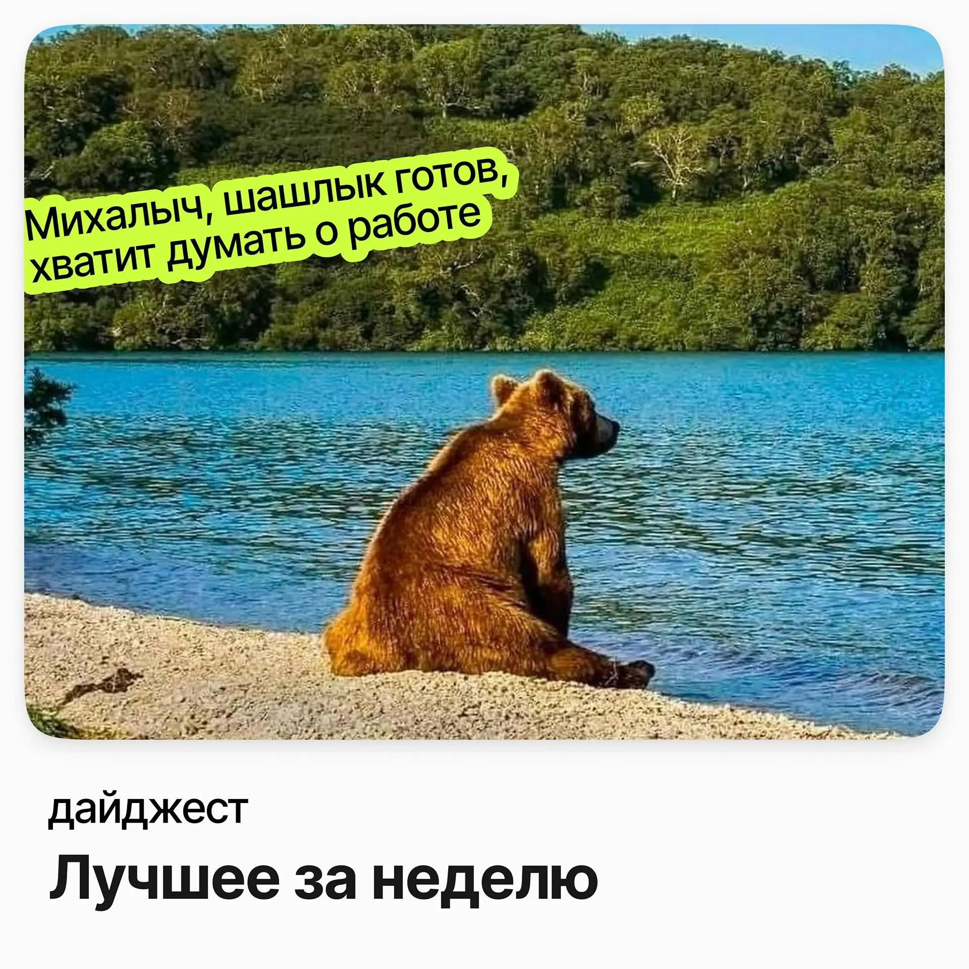 Лучшие вакансии недели | Сетка — социальная сеть от hh.ru
