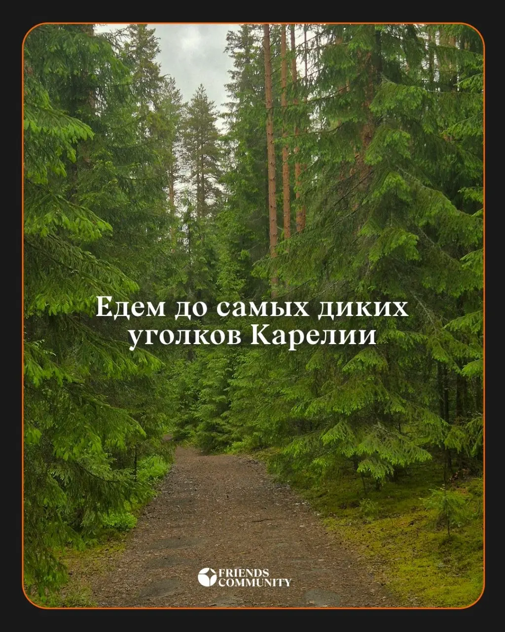 9 принципов нашей Карелии 🚗🌳
🗓11 - 14 июня
подробности тут
Карелия это сила, это любовь и это потрясающая компания 🟧
Труднодоступные места
Мы едем смотреть настоящую дикую природу Карелии, а не только... | Сетка — социальная сеть от hh.ru
