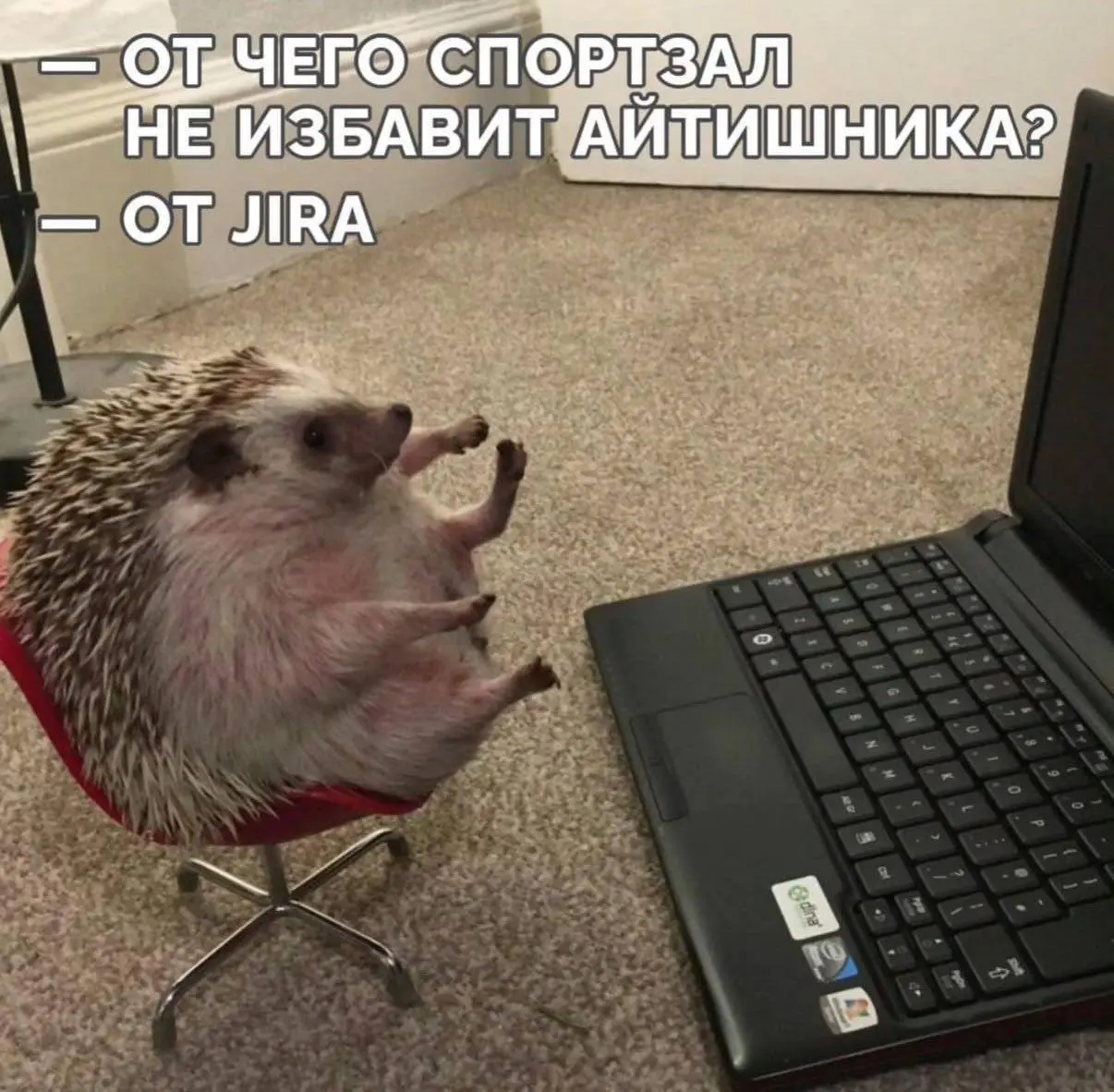 Хе-хе.😅 | Сетка — социальная сеть от hh.ru