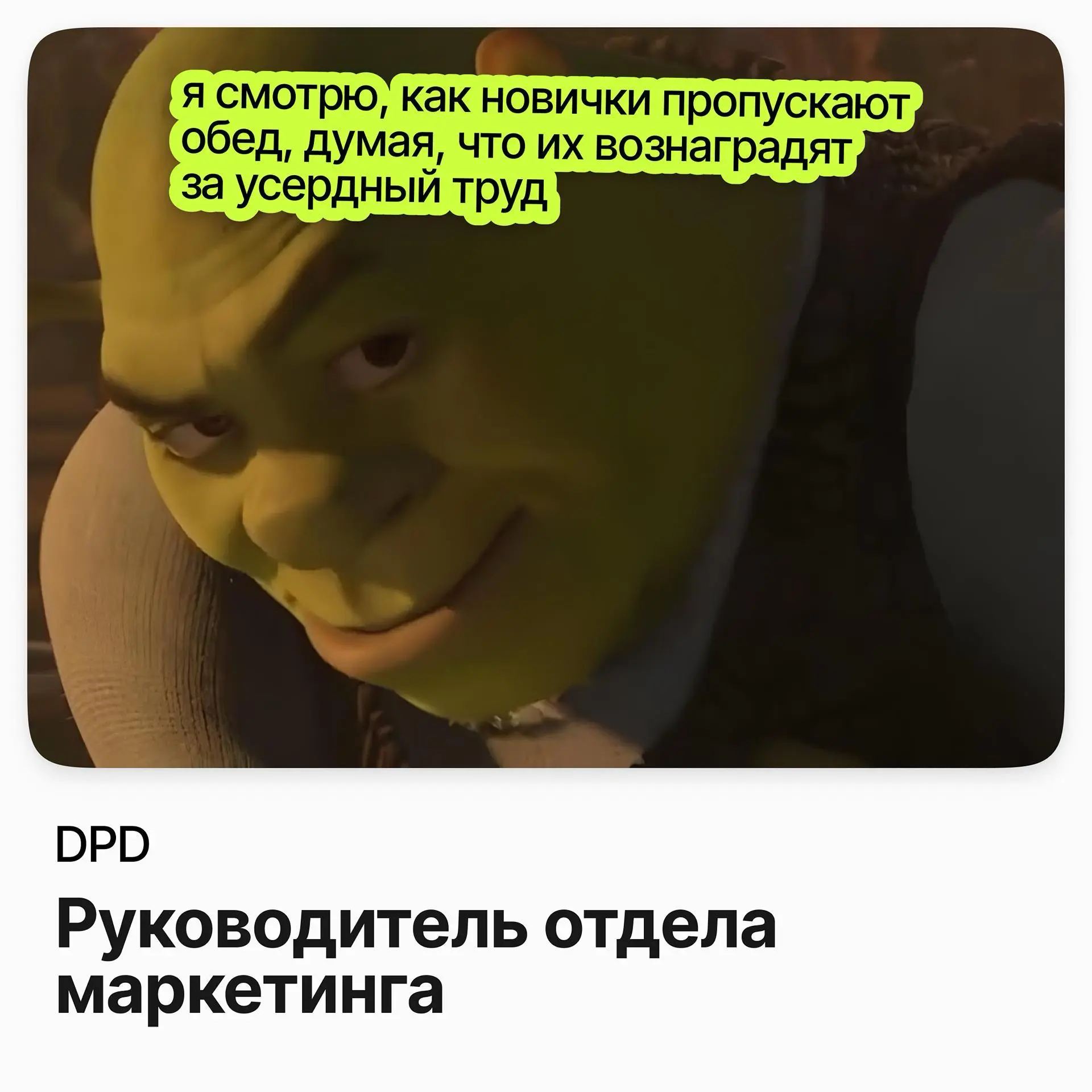 Руководитель отдела маркетинга / DPD | Сетка — социальная сеть от hh.ru