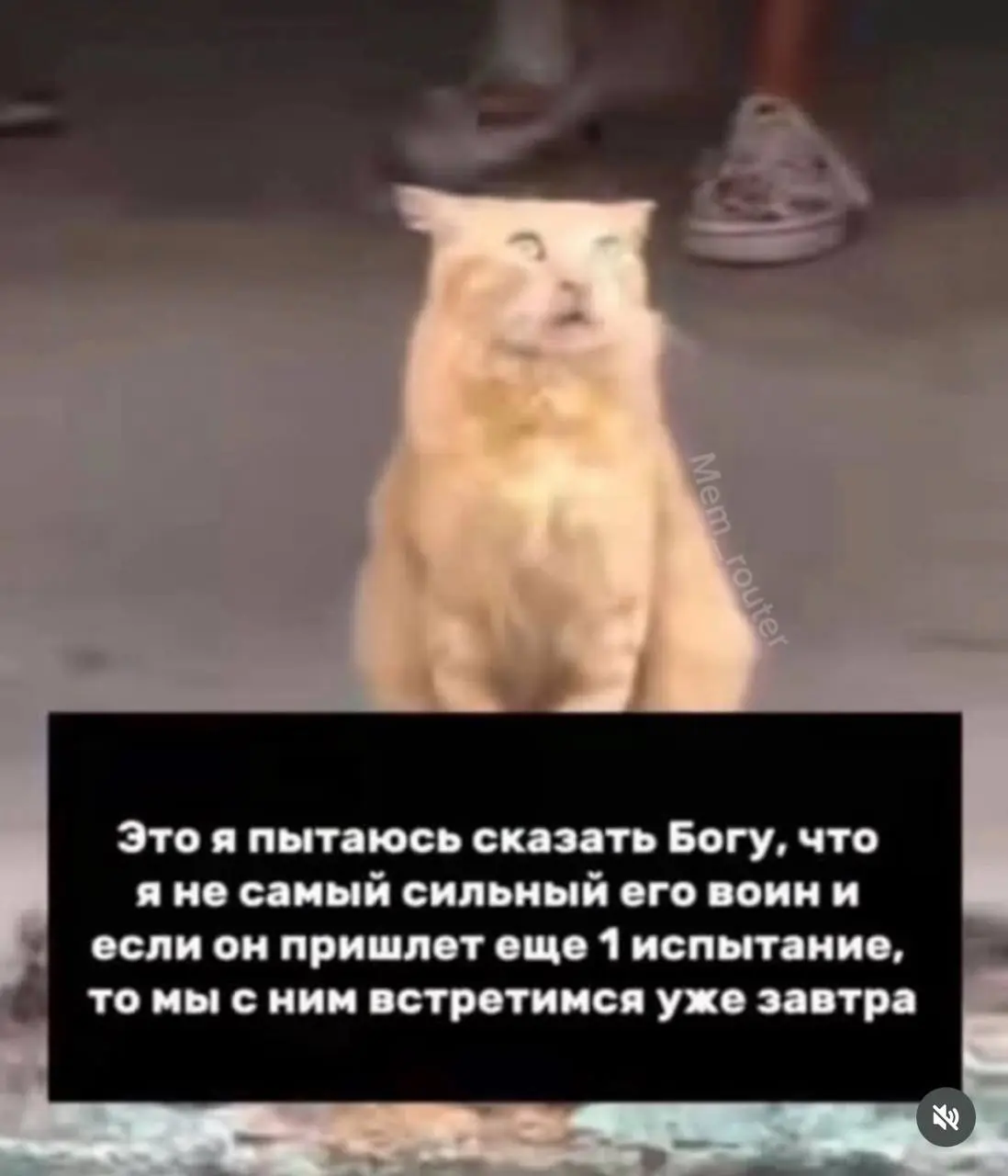 Я обычно не люблю, когда вместо осмысленного контента начинают спамить мемами, но учитывая всю непрекращаюся турбулентность последних месяцев, этот мем не в бровь, а в глаз
#meme | Сетка — социальная сеть от hh.ru