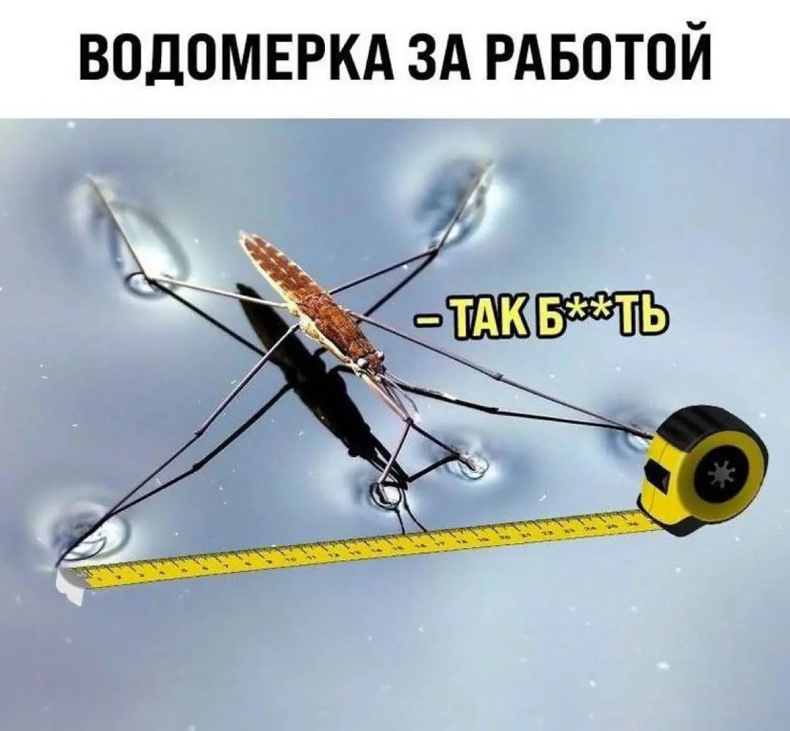 У меня проект в стадии выше, мы его преобразуем из экселек в железо, поэтому на нудеть каждый день меня не хватает. Но я исправлюсь. :-) | Сетка — социальная сеть от hh.ru