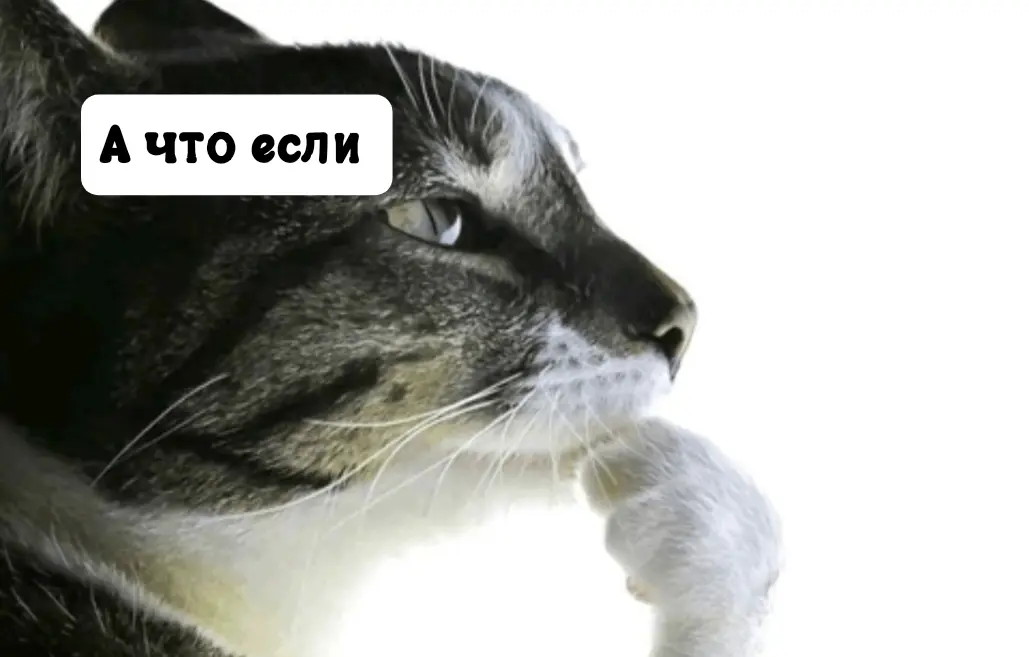 Nowkie в рандомный момент | Сетка — социальная сеть от hh.ru