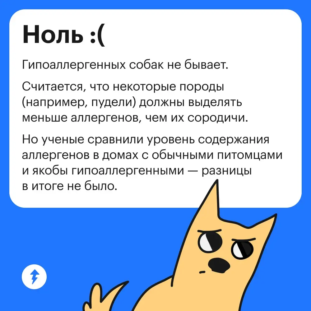 🐕 Если вы давно хотите завести собаку, сначала лучше проверить, точно ли вы к ней готовы.
#собаковедение | Сетка — социальная сеть от hh.ru