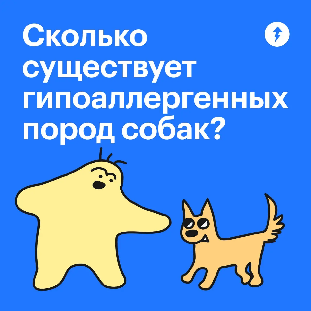 🐕 Если вы давно хотите завести собаку, сначала лучше проверить, точно ли вы к ней готовы.
#собаковедение | Сетка — социальная сеть от hh.ru