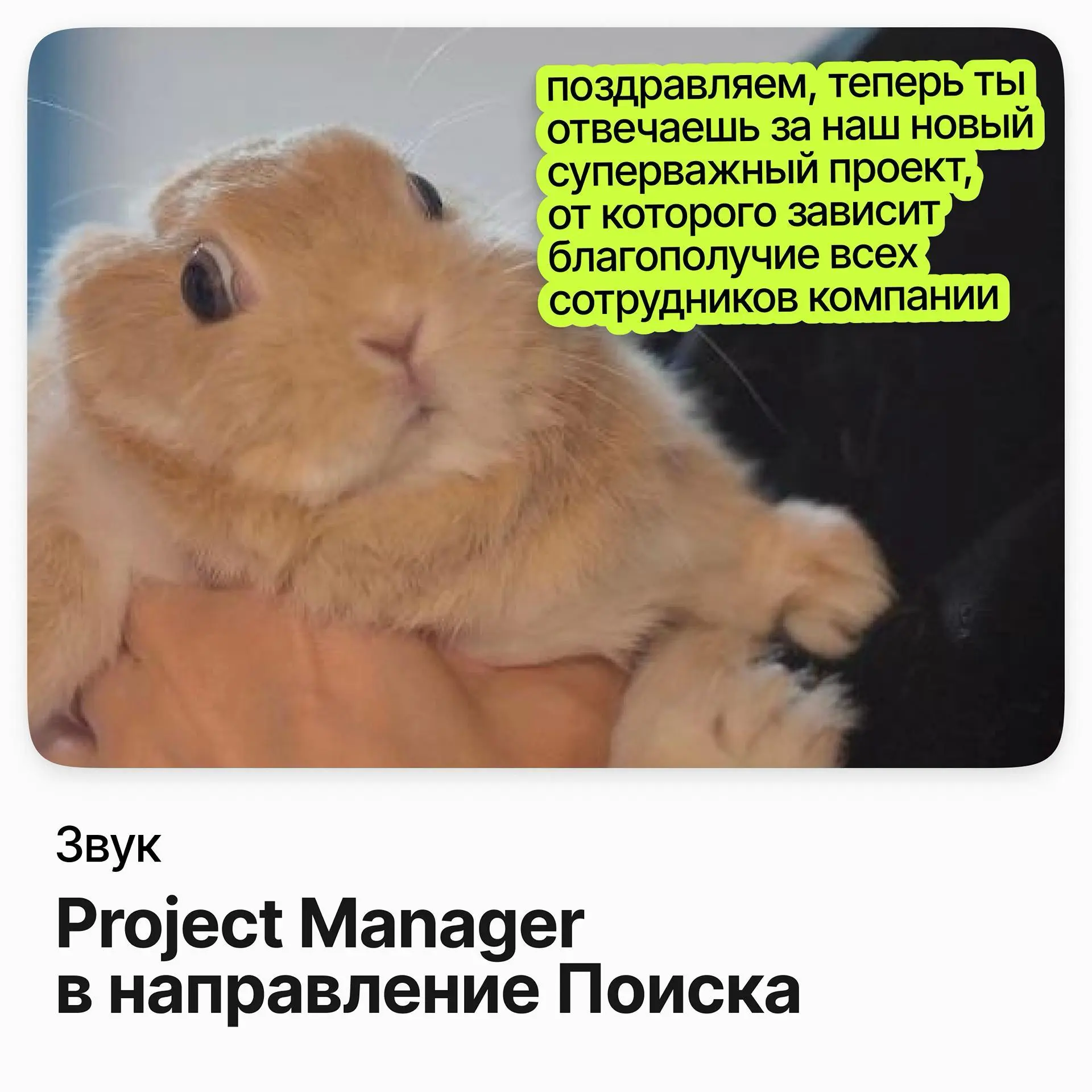 Project Manager в направление Поиска / Звук | Сетка — социальная сеть от hh.ru