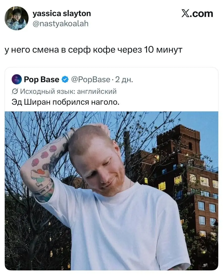 Эд Ширан сбрил рыжие кудри и подстригся наголо. Реакция русского Твиттера убила🤯 | Сетка — социальная сеть от hh.ru