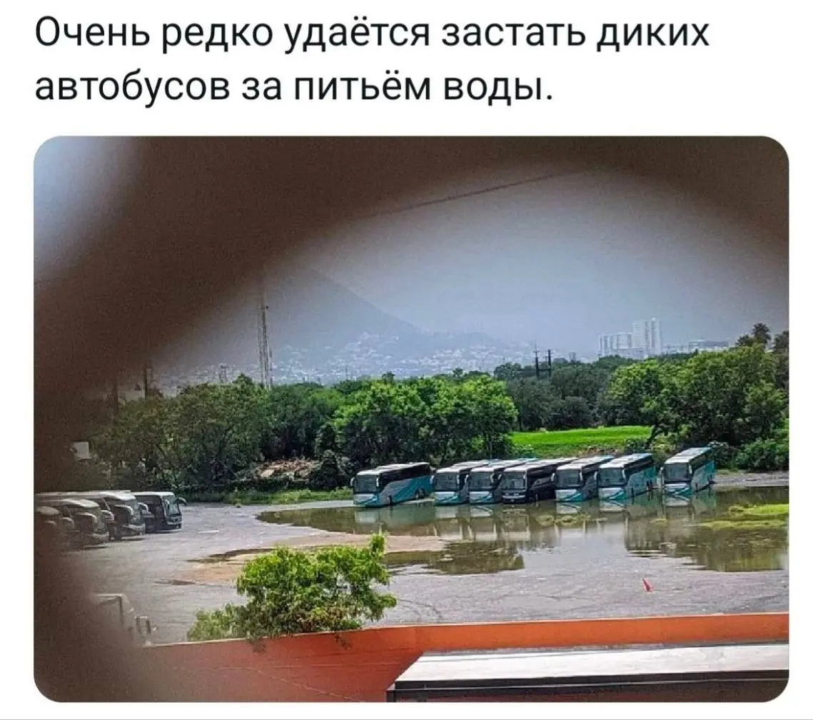 Давно не было мемов, исправляюсь🤝
С чего я смеялся на этой неделе. Про речь Посполитую мое любимое☺️ | Сетка — социальная сеть от hh.ru