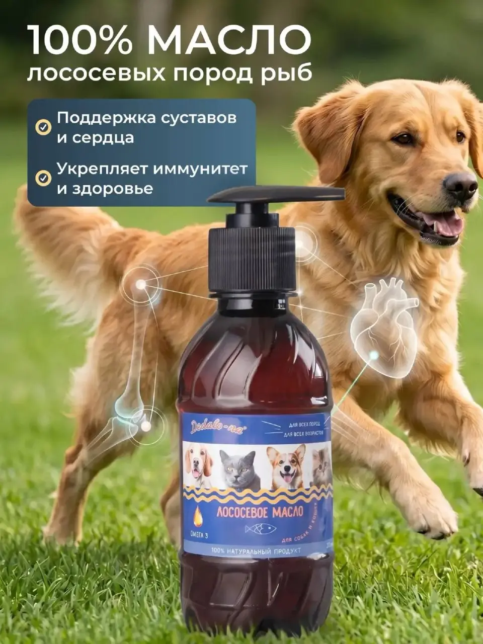 До / после
🐾 Кейс: лососевое масло для собак и кошек
Задача:
показать реальный эффект от продукта
визуально усилить ценность через «до/после»
закрыть скепсис: «работает ли вообще?»
Что выполнено:
— ре... | Сетка — социальная сеть от hh.ru