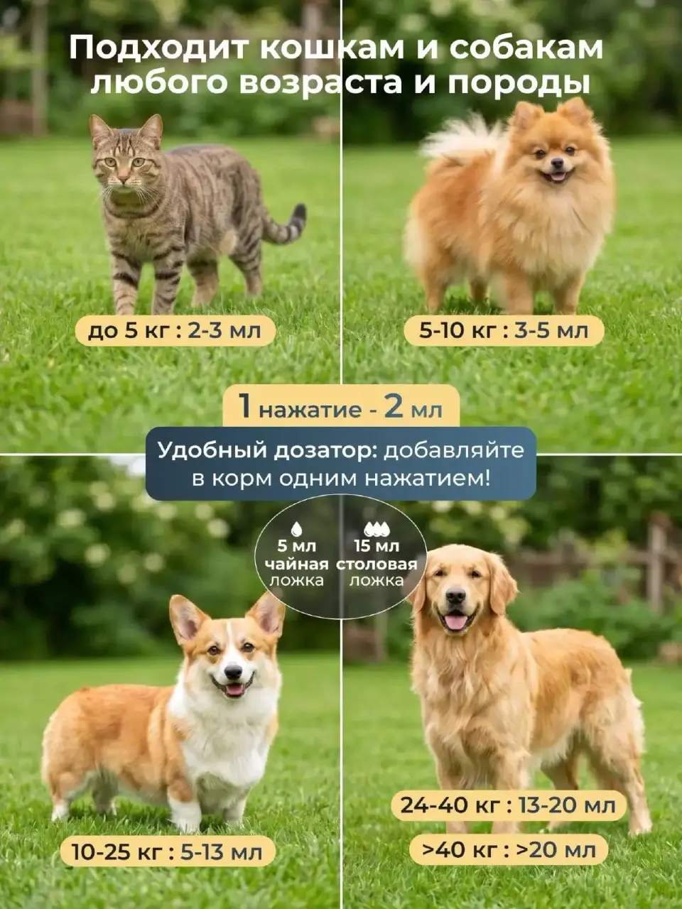 До / после
🐾 Кейс: лососевое масло для собак и кошек
Задача:
показать реальный эффект от продукта
визуально усилить ценность через «до/после»
закрыть скепсис: «работает ли вообще?»
Что выполнено:
— ре... | Сетка — социальная сеть от hh.ru