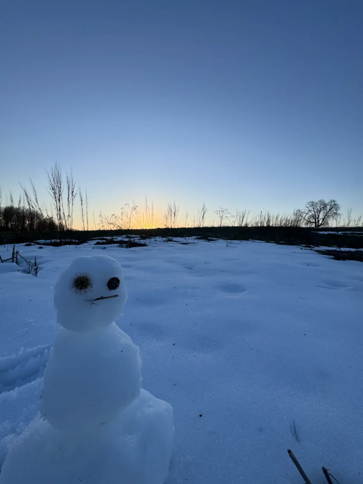 Вот и лето на подходе☃️🌞 | Сетка — социальная сеть от hh.ru