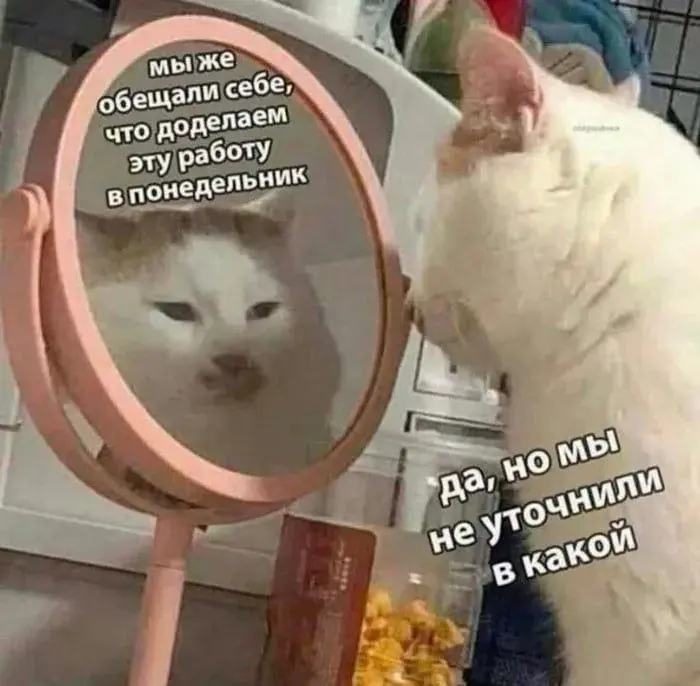 Продуктивного понедельника 😥 | Сетка — социальная сеть от hh.ru