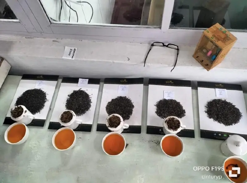 Сиккимские коллеги отчитались о рекордных ценах на чай Temi Tea Estate Sikkim | Сетка — социальная сеть от hh.ru