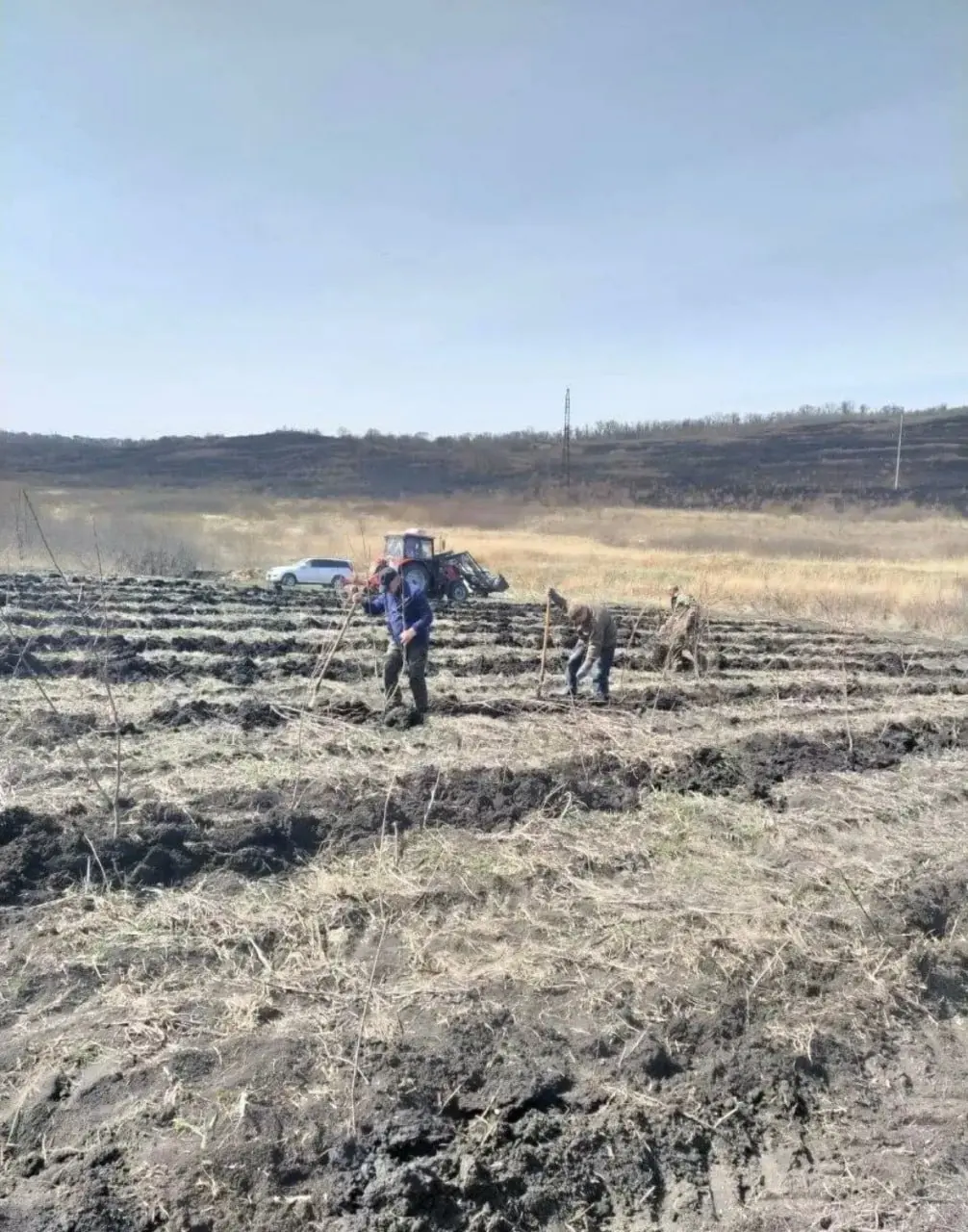 🌳 Этой весной в Ставрополе высадят более 6 тысяч деревьев и около 900 тысяч цветов
Также будет обновлено 8 тысяч кв. м газонов, сообщает мэрия | Сетка — социальная сеть от hh.ru