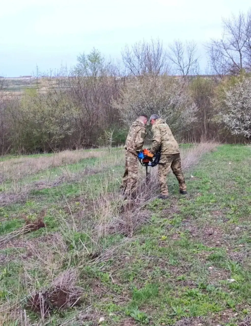 🌳 Этой весной в Ставрополе высадят более 6 тысяч деревьев и около 900 тысяч цветов
Также будет обновлено 8 тысяч кв. м газонов, сообщает мэрия | Сетка — социальная сеть от hh.ru