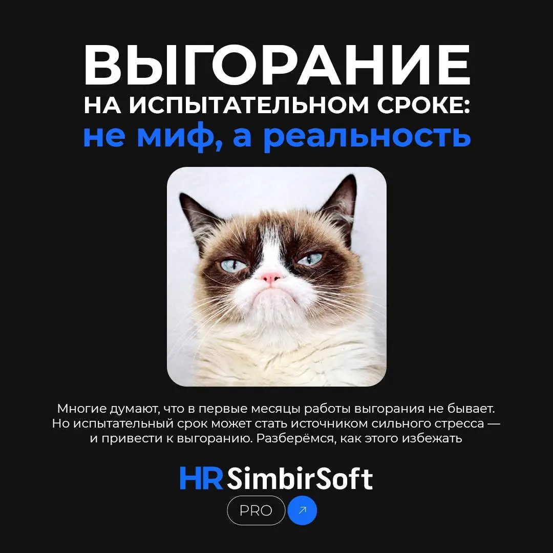 Сегодня хотим обсудить важную и часто недооценённую тему: выгорание в период испытательного срока.
Часто слышим, что в первые месяцы работы выгорания не бывает | Сетка — социальная сеть от hh.ru