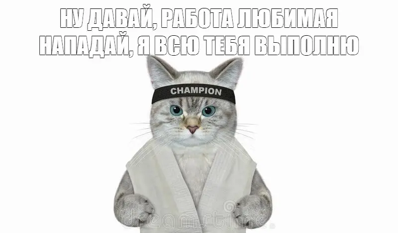Работаааа, аууу | Сетка — социальная сеть от hh.ru