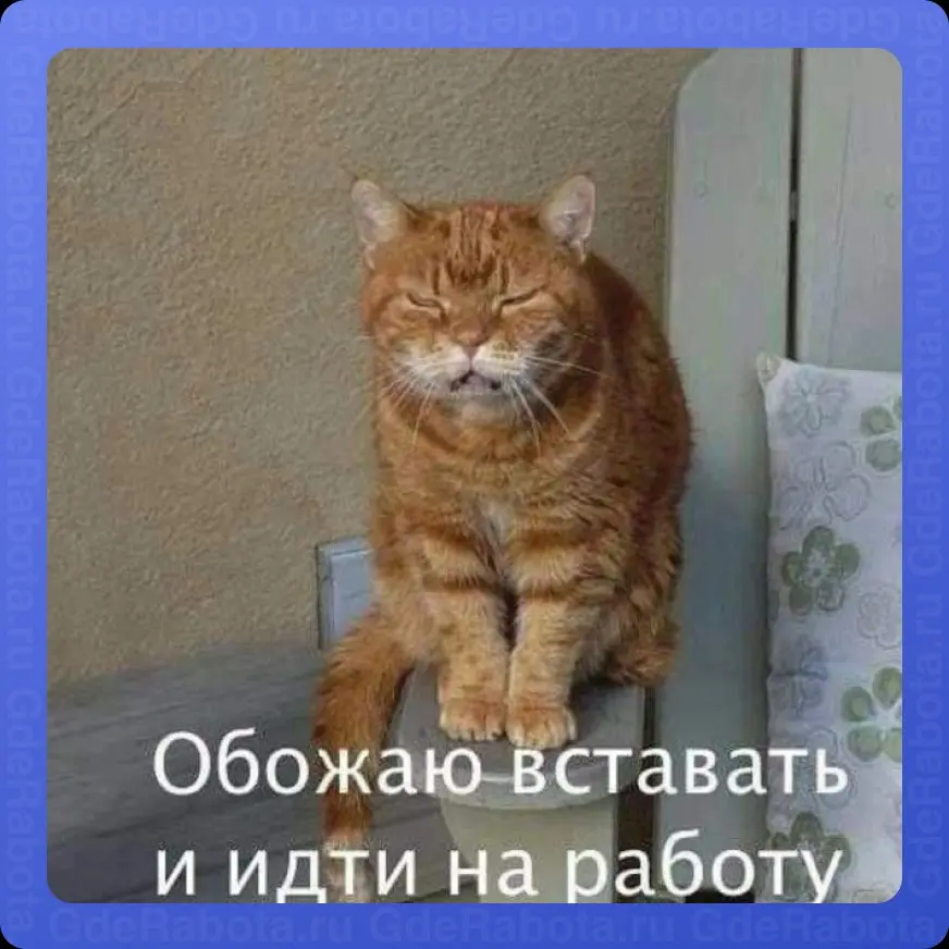 Лёгкой рабочей недели✌🏻
На все вопросы отвечайте: «Давай после майских!»
#работа #GdeRabota #вакансии | Сетка — социальная сеть от hh.ru