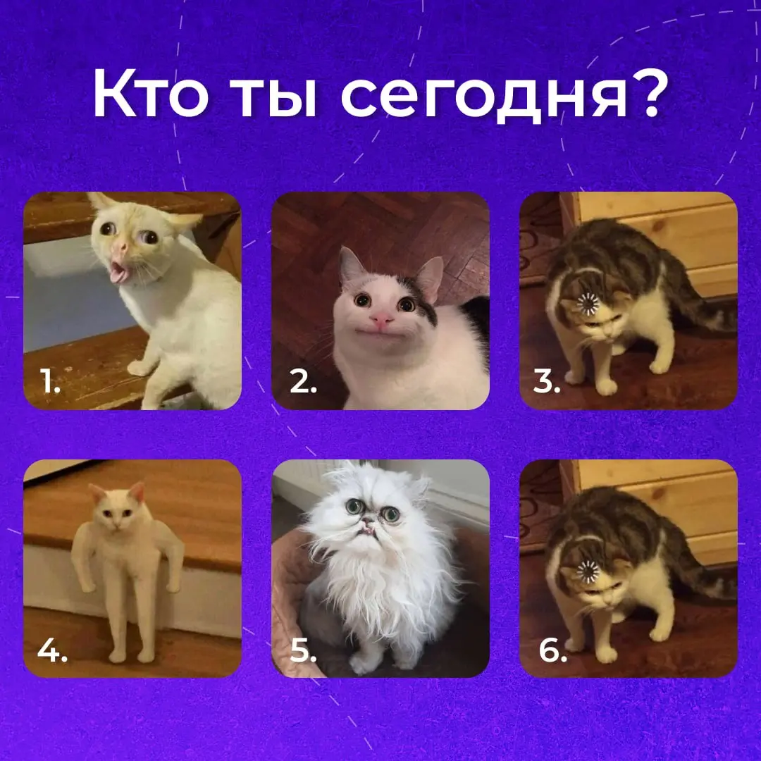 Труженики! 🐝
Как чувствуете себя после праздников?)
Выбираем муд первого майского рабочего дня!
Пишите в комментариях свой вариант! | Сетка — социальная сеть от hh.ru