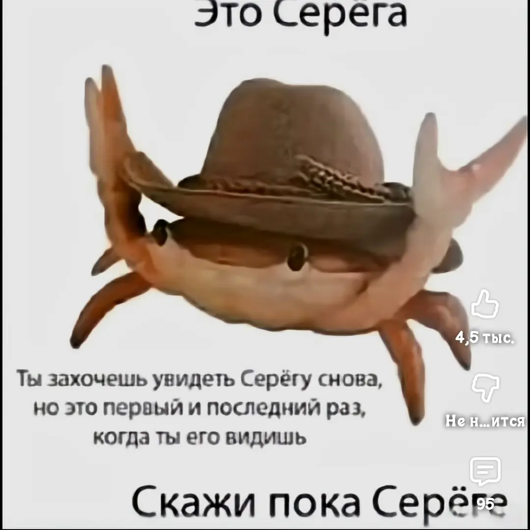 Пока серёга | Сетка — социальная сеть от hh.ru