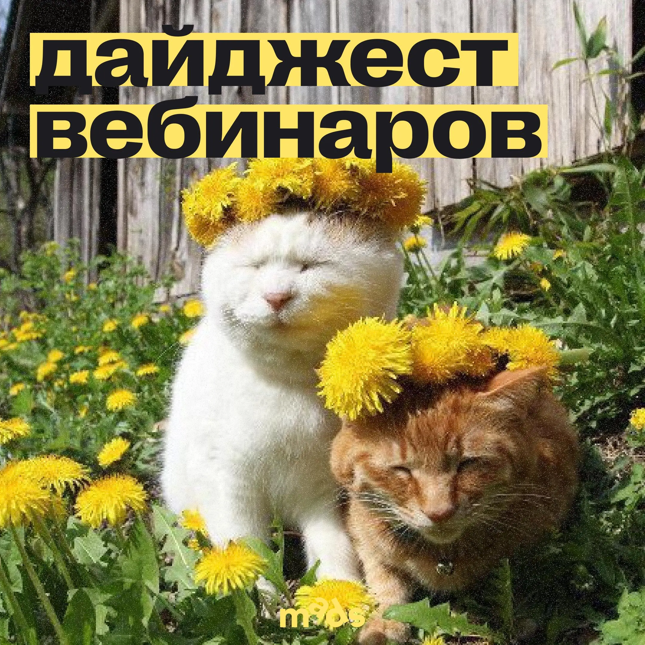 🗣 Как ворваться в неделю с пользой? Забрать вебинары mads и спринт от ПИКЧИ 😎
🔼 5 мая онлайн в 18:00 мск онлайн
Коммуникационная стратегия плохих парней: как превратить негативный образ бренда в точку... | Сетка — социальная сеть от hh.ru