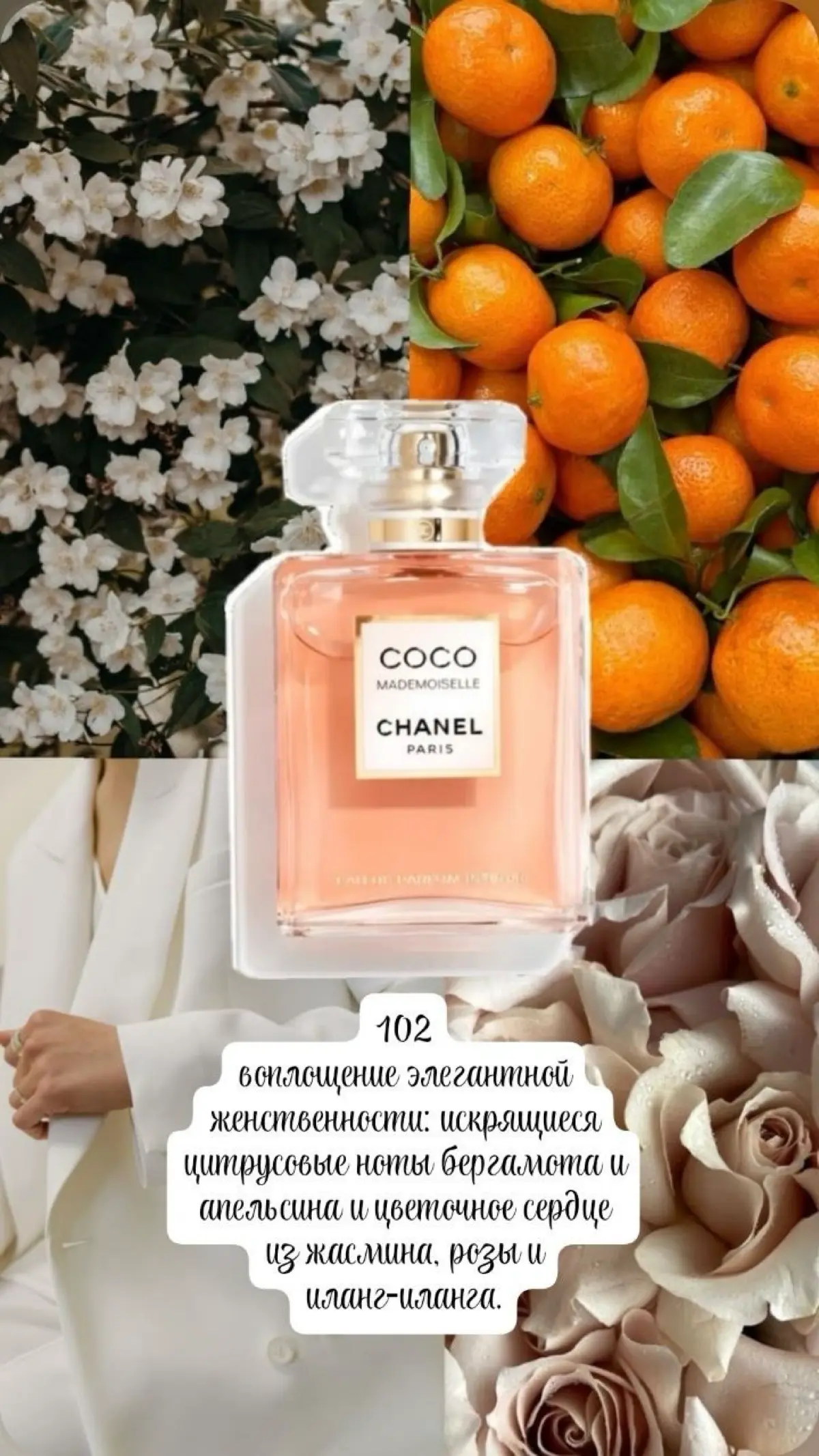 Varitate — ароматы, которые говорят на языкеваших эмоций. Выберите свой тон для каждогодня.
Напиши в комментариях + и с тобой свяжутся! | Сетка — социальная сеть от hh.ru