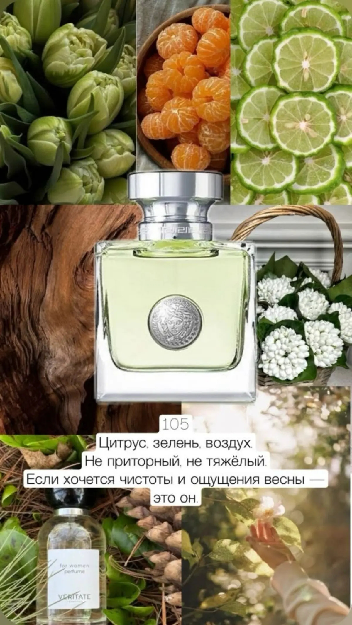 Varitate — ароматы, которые говорят на языкеваших эмоций. Выберите свой тон для каждогодня.
Напиши в комментариях + и с тобой свяжутся! | Сетка — социальная сеть от hh.ru