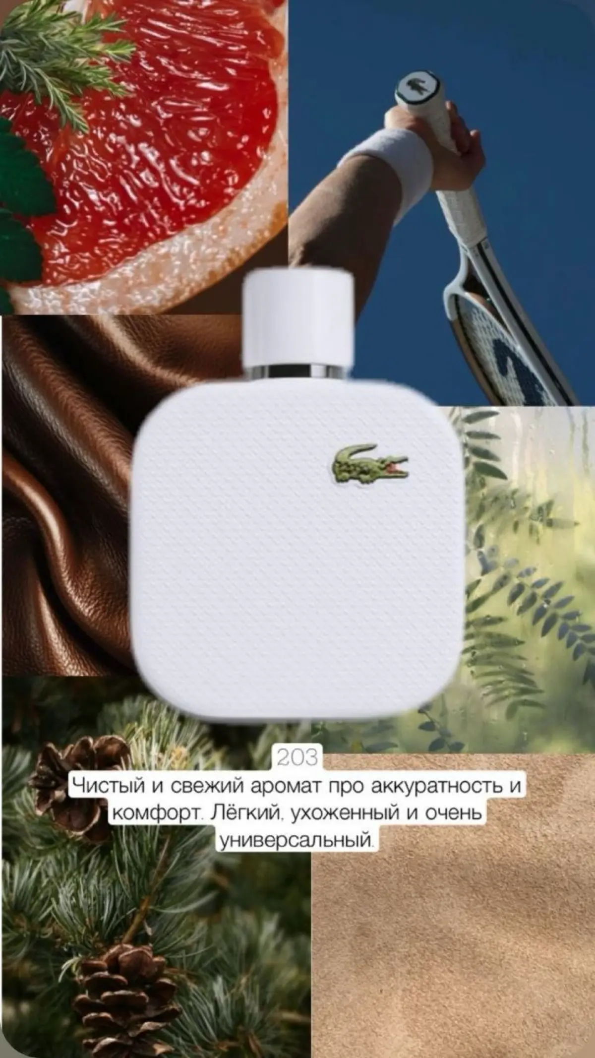 Varitate — ароматы, которые говорят на языкеваших эмоций. Выберите свой тон для каждогодня.
Напиши в комментариях + и с тобой свяжутся! | Сетка — социальная сеть от hh.ru
