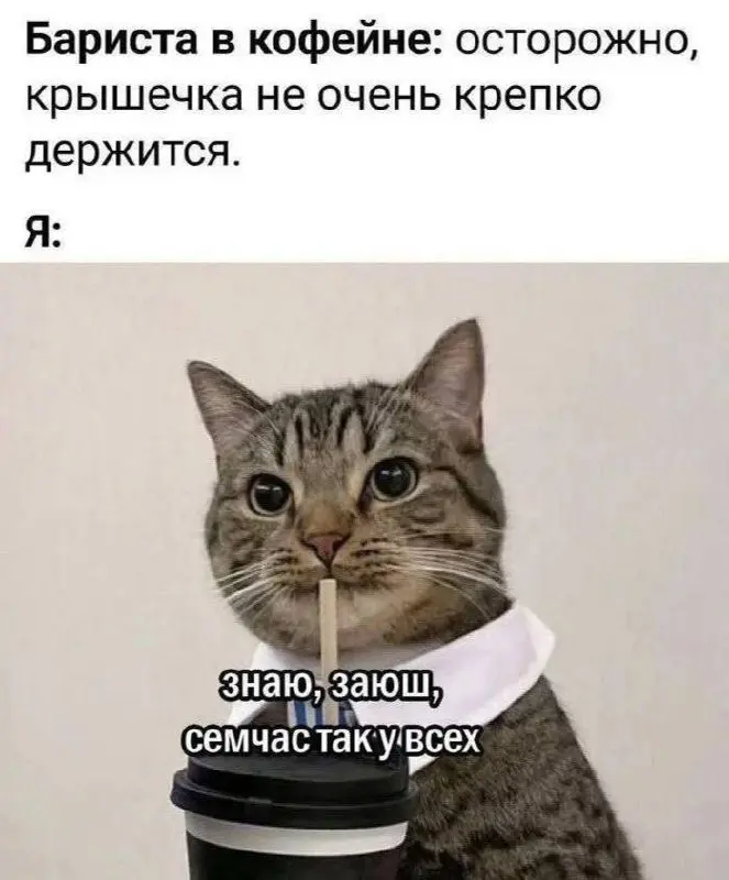 Почему тебе не отвечают после отклика (и дело не в тебе)
Ты отправил отклик → тишина.
Первая мысль:
«со мной что-то не так» | Сетка — социальная сеть от hh.ru