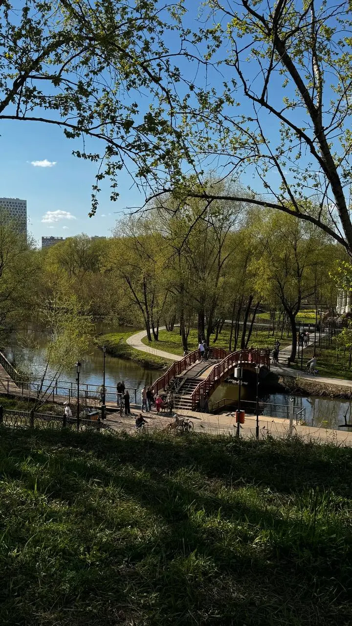 Обожаю нашу природу, обожаю тепло и солнце .
Всем солнечного и прекрасного дня и настроения !
📍Свиблово | Сетка — социальная сеть от hh.ru